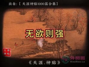 《无欲则刚》天涯神贴绝版视频合集005在线观看-外贸啦