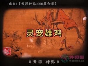 《灵宠雄鸡》天涯神贴绝版视频合集055在线观看-外贸啦