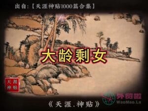 《大龄剩女》天涯神贴绝版视频合集129在线观看-外贸啦