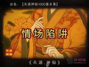 《情场陷阱》天涯神贴绝版视频合集102在线观看-外贸啦