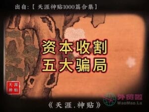 《资本收割五大骗局》天涯神贴绝版视频合集027在线观看-外贸啦