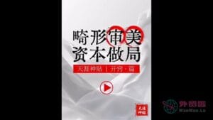 《畸形审美资本做局》天涯神贴绝版视频合集163在线观看-外贸啦