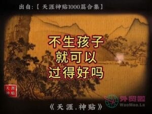 《不生孩子就可以过得好吗》天涯神贴绝版视频合集033在线观看-外贸啦