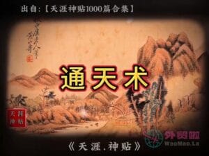 《通天术》天涯神贴绝版视频合集114在线观看-外贸啦