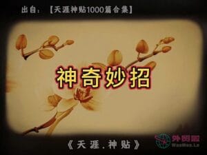 《神奇妙招》天涯神贴绝版视频合集144在线观看-外贸啦