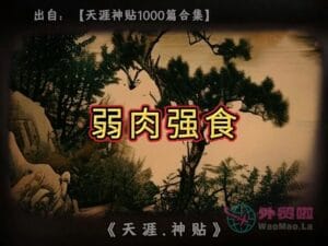 《弱肉强食》天涯神贴绝版视频合集112在线观看-外贸啦