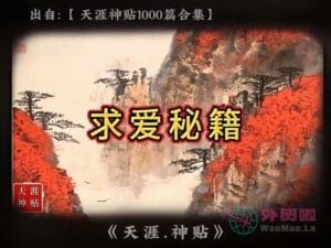 《求爱秘籍》天涯神贴绝版视频合集035在线观看-外贸啦