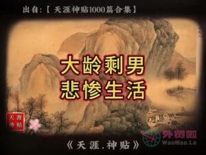 《大龄剩男悲惨生活》天涯神贴绝版视频合集038在线观看-外贸啦