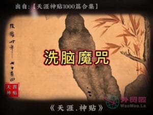 《洗脑魔咒》天涯神贴绝版视频合集074在线观看-外贸啦