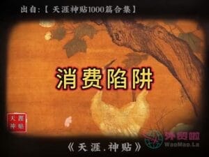 《消费陷阱》天涯神贴绝版视频合集026在线观看-外贸啦