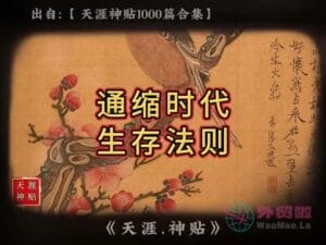 《通缩时代生存法则》天涯神贴绝版视频合集025在线观看-外贸啦