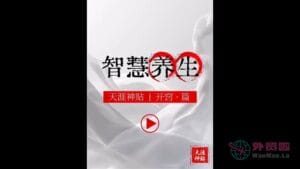 《智慧养生》天涯神贴绝版视频合集120在线观看-外贸啦