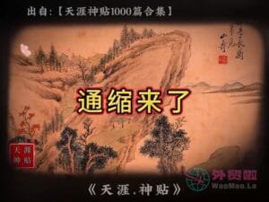 《通缩来了》天涯神贴绝版视频合集116在线观看-外贸啦