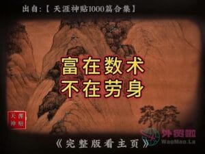 《富在数术不在劳身》天涯神贴绝版视频合集009在线观看-外贸啦