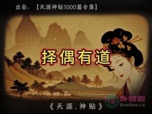 《择偶有道》天涯神贴绝版视频合集143在线观看-外贸啦