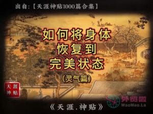 《如何将身体恢复到完美状态》天涯神贴绝版视频合集098在线观看-外贸啦