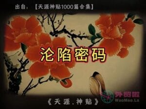 《沦陷密码》天涯神贴绝版视频合集162在线观看-外贸啦