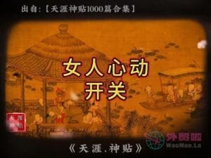 《女人心动开关》天涯神贴绝版视频合集054在线观看-外贸啦