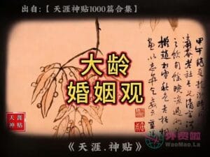 《大龄婚姻观》天涯神贴绝版视频合集013在线观看-外贸啦