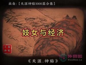 《妓女与经济》天涯神贴绝版视频合集168在线观看-外贸啦