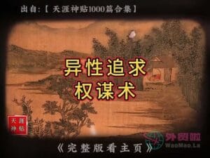 《异性追求权谋术》天涯神贴绝版视频合集007在线观看-外贸啦