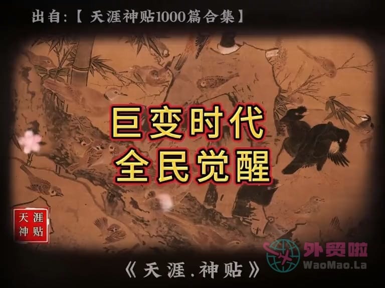《巨变时代全民觉醒》天涯神贴绝版视频合集017在线观看-外贸啦