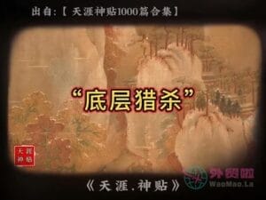 《底层猎杀》天涯神贴绝版视频合集034在线观看-外贸啦