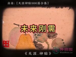 《未来刚需》天涯神贴绝版视频合集148在线观看-外贸啦