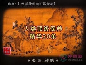 《人类顶级保养精华20条》天涯神贴绝版视频合集043在线观看-外贸啦