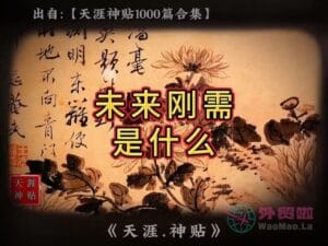 《未来刚需是什么》天涯神贴绝版视频合集113在线观看-外贸啦