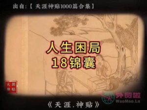 《人生困境18锦囊》天涯神贴绝版视频合集002在线观看-外贸啦