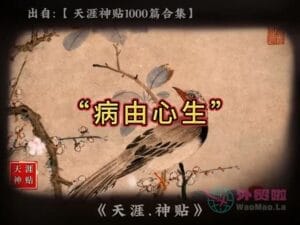 《病由心生》天涯神贴绝版视频合集060在线观看-外贸啦