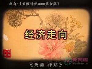 《经济走向》天涯神贴绝版视频合集048在线观看-外贸啦