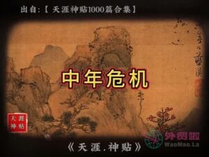 《中年危机》天涯神贴绝版视频合集006在线观看-外贸啦