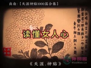 《读懂女人心》天涯神贴绝版视频合集159在线观看-外贸啦