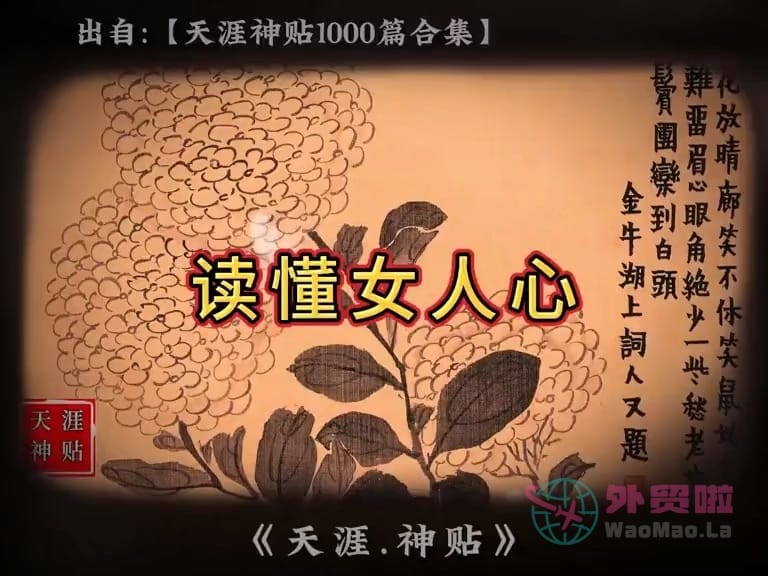 《读懂女人心》天涯神贴绝版视频合集159在线观看-外贸啦
