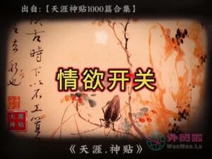 《情欲开关》天涯神贴绝版视频合集110在线观看-外贸啦