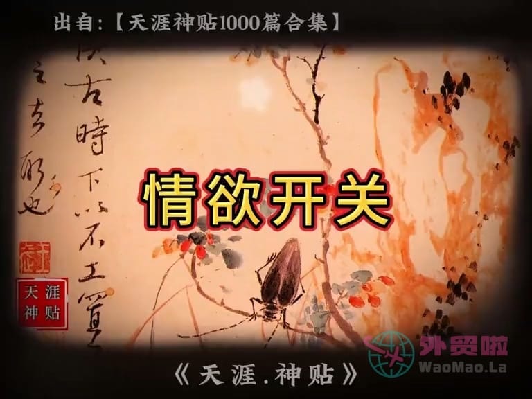 《情欲开关》天涯神贴绝版视频合集110在线观看-外贸啦