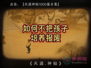 《如何不把孩子培养报废》天涯神贴绝版视频合集093在线观看-外贸啦