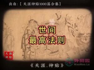 《世间最高法则》天涯神贴绝版视频合集003在线观看-外贸啦