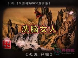 《洗脑女人》天涯神贴绝版视频合集142在线观看-外贸啦