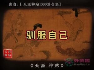 《驯服自己》天涯神贴绝版视频合集021在线观看-外贸啦