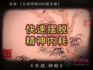 《快速摆脱精神内耗》天涯神贴绝版视频合集087在线观看-外贸啦