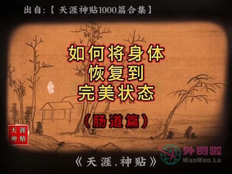 《如何将身体恢复到完美状态》天涯神贴绝版视频合集061在线观看-外贸啦