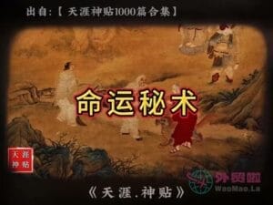 《命运秘术》天涯神贴绝版视频合集046在线观看-外贸啦