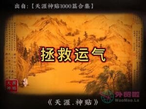 《拯救运气》天涯神贴绝版视频合集085在线观看-外贸啦