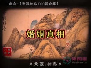 《婚姻真相》天涯神贴绝版视频合集138在线观看-外贸啦