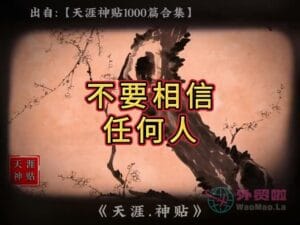 《不要相信任何人》天涯神贴绝版视频合集165在线观看-外贸啦