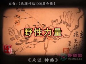 《野性力量》天涯神贴绝版视频合集096在线观看-外贸啦