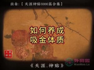 《如何养成吸金体质》天涯神贴绝版视频合集036在线观看-外贸啦